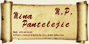 Mina Pantelejić vizit kartica